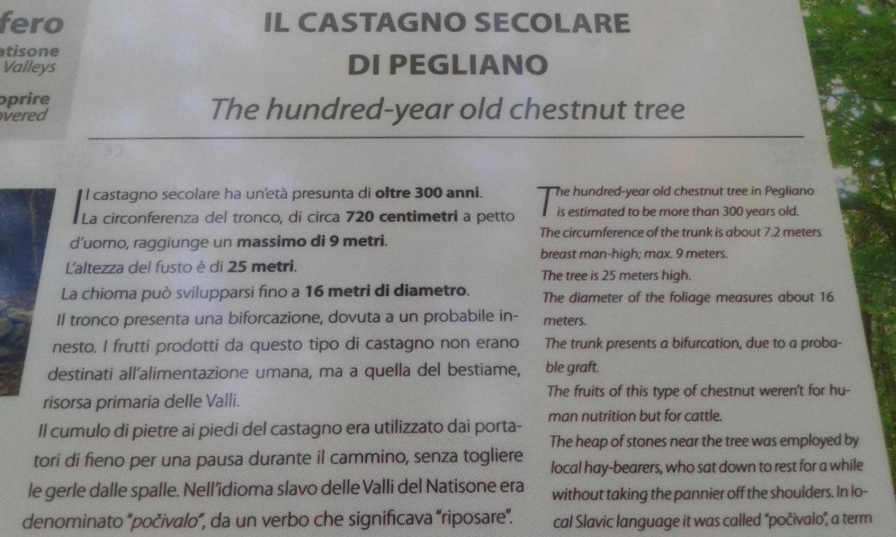 Casa Del Castagno Holiday home Pulfero
